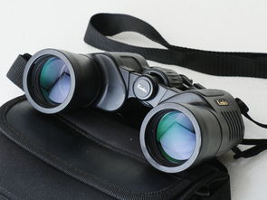 探索日本雙筒望遠(yuǎn)鏡 代購渠道、價(jià)格解析與二手市場指南